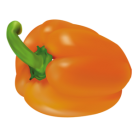 Sweet peper orange