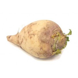 Turnip cabbage (rutabaga)