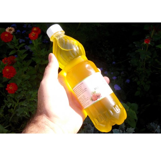 Cedar nut oil, 525 ml, plastic bottle