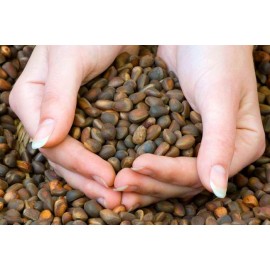 Cedar nuts  in shell, 450 g