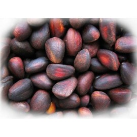 50 cedar seeds for free