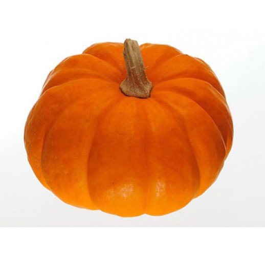 Pumpkin musquee de provence