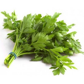 Parsley flat-leaf