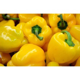 Sweet peper, (yellow)