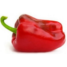 Sweet peper red (Large)