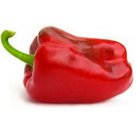 Sweet peper red (Large)
