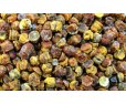 Bee bread, 100 g