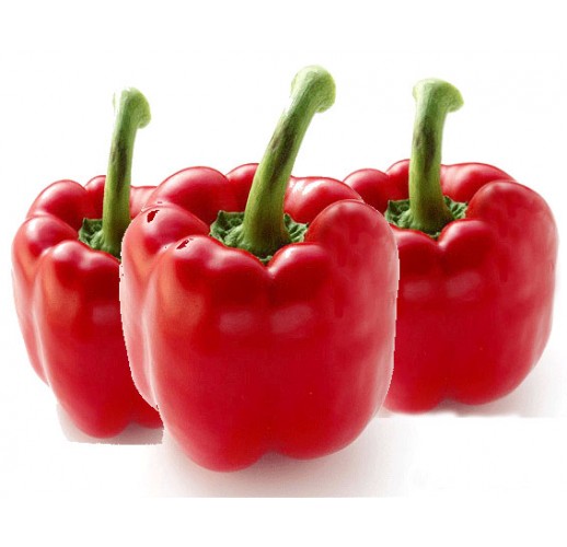 Sweet peper "Red Cube"