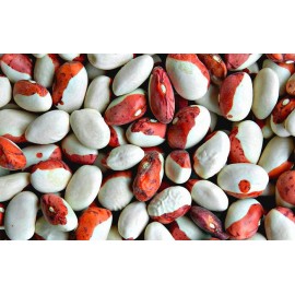 Beans "Red Hood"