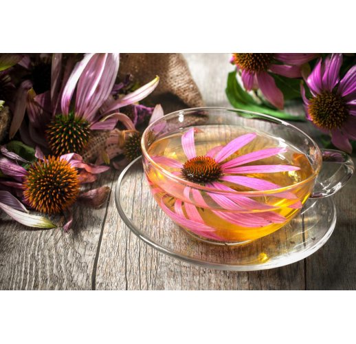 Echinacea tea, 50 g