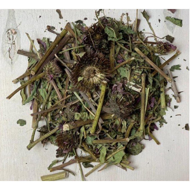 Echinacea purpurea, herbal tea
