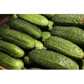 Cucumbers "Altay"