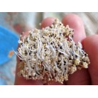 Amaranth seeds, 500 g