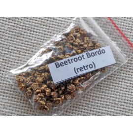 Beetroot Bordo (retro)