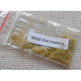 Wild Camomile