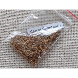 Carrot "Chantenay"