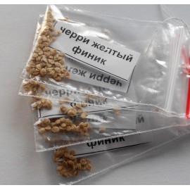 Tomato Cherry (yellow date)