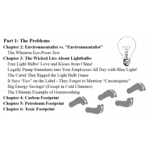 Building a Better World in Your Backyard, eBook