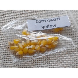 Corn dwarf yellow
