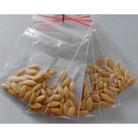 Cucumbers "Pickling"