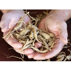Ginseng roots, 50 g