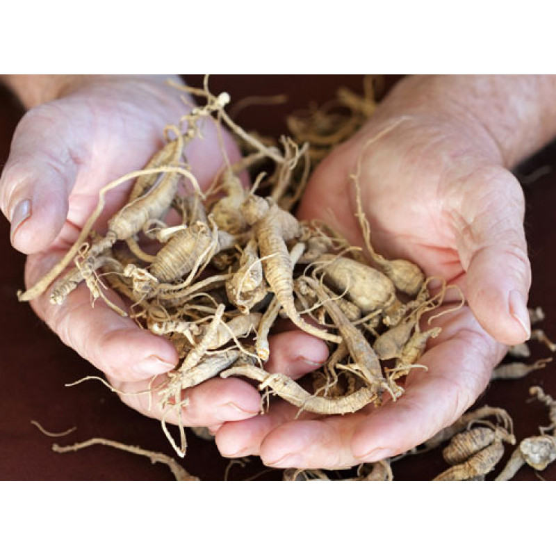 Ginseng roots, 50 g your dr natural healing