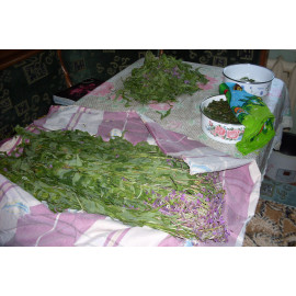 Ivan-Chai, black, 50 g