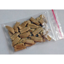 Lagenaria long (Calabash)