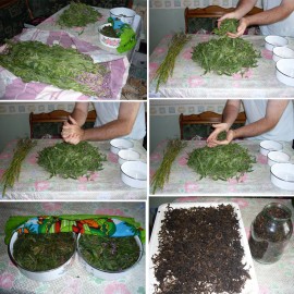 Ivan-Chai with mint, 50 g