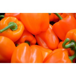 Sweet pepper orange