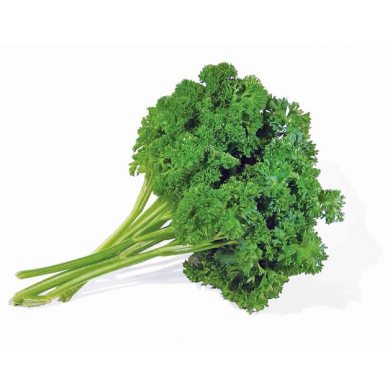 Parsley curlyleaf seeds, heirloom, nongmo, organic
