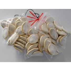 Pumpkin "Volga" gray