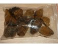 Chaga (Birch mushroom), 100 g