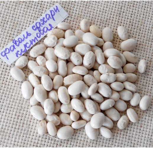 White beans, sugar, heirloom, nongmo, organic