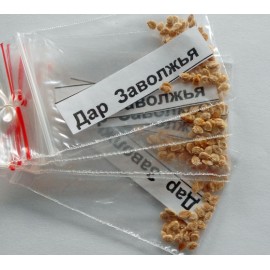 Tomato Trans-Volga gift