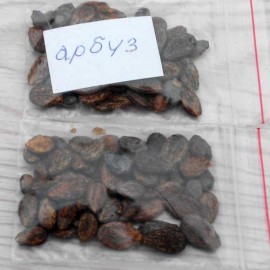 Watermelon (assorted)