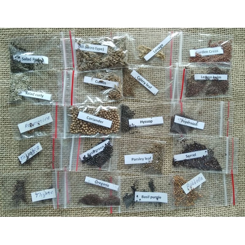 Spicy Herbs Kitchen garden kit