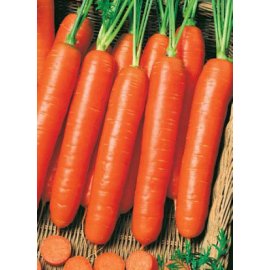 Carrot Nantskaya
