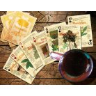 12 decks of Permaculture playing cards