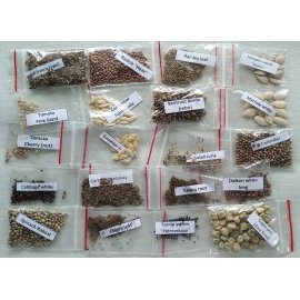 Grow Easy Seeds starter kit