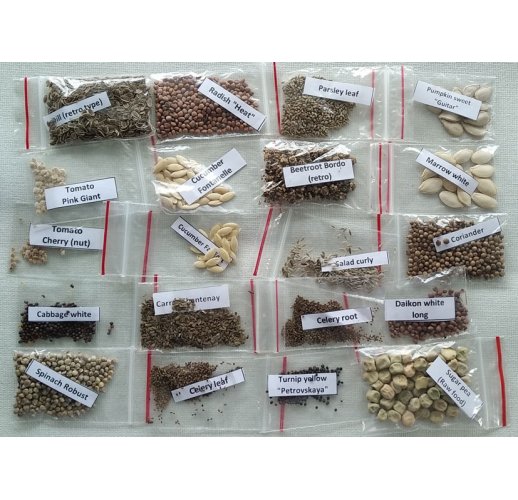 Grow Easy Seeds starter kit