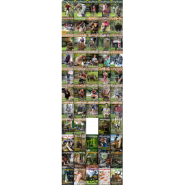 Living woods magazine - Issue 6