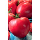 Tomato "Coeur de boeuf"