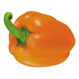 Sweet pepper orange