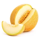 Melon "Collective farmer"