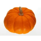 Pumpkin musquee de provence