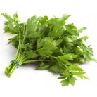 Parsley flat-leaf