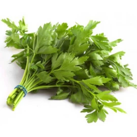 Parsley flat-leaf