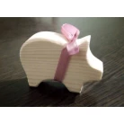 Pocket piggy