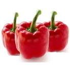 Sweet pepper "Red Cube"